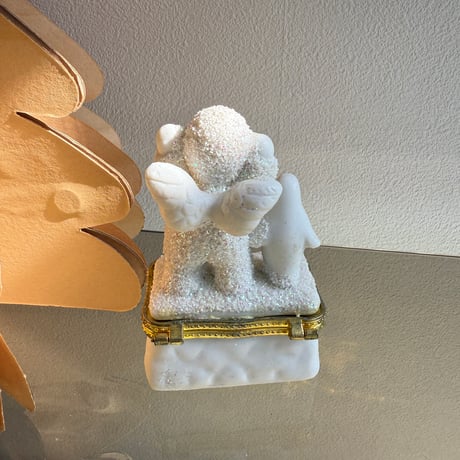 Angel and penguin case