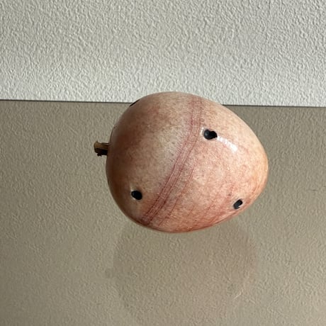 Stone cactus fruit