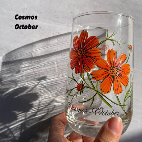 Brockway Flower of the month glass（9.10.11.12）