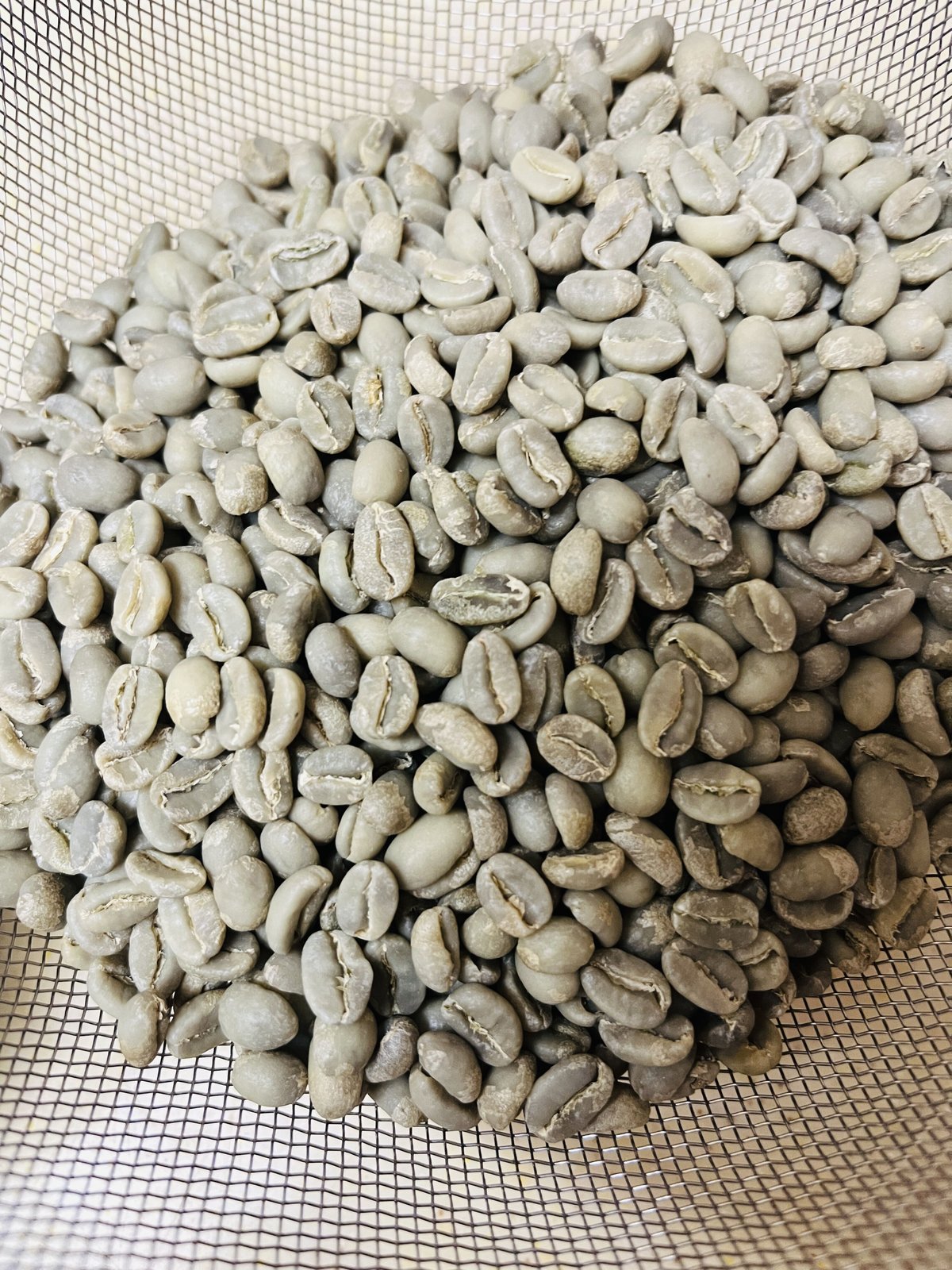 エチオピア イルガチェフェ G1 ホワイトハニー | MounTown Coffee Roas