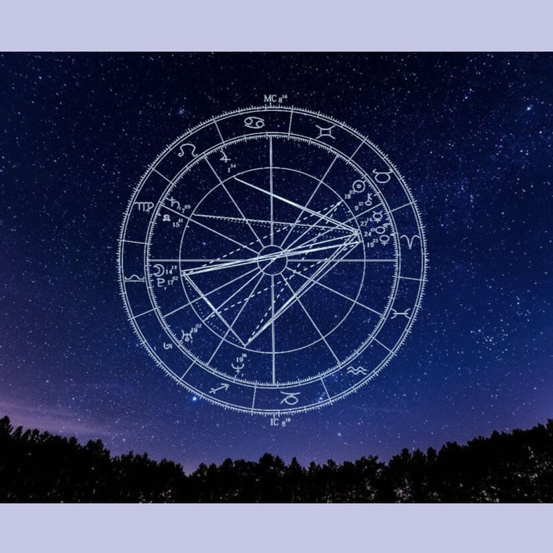 ハーバルアストロロジー 鑑定書 | Statice Herbal Astrology