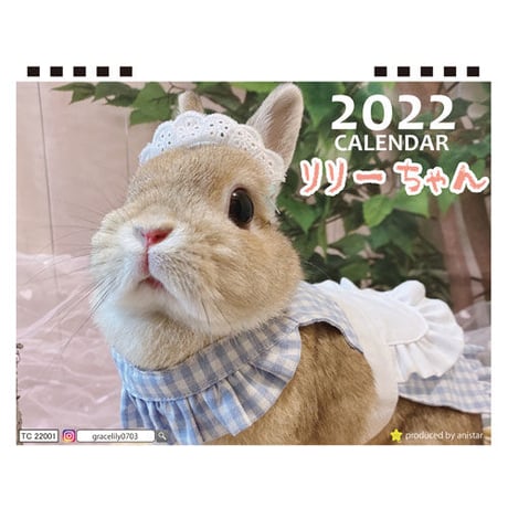 【予約販売】 うさぎのリリーちゃん 2022年 卓上 カレンダー TC22048