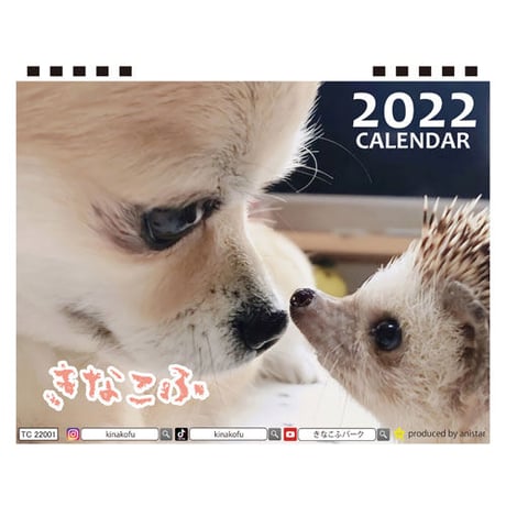 【予約販売】 チワワ ハリネズミ きなこふ 2022年 卓上 カレンダー TC22052