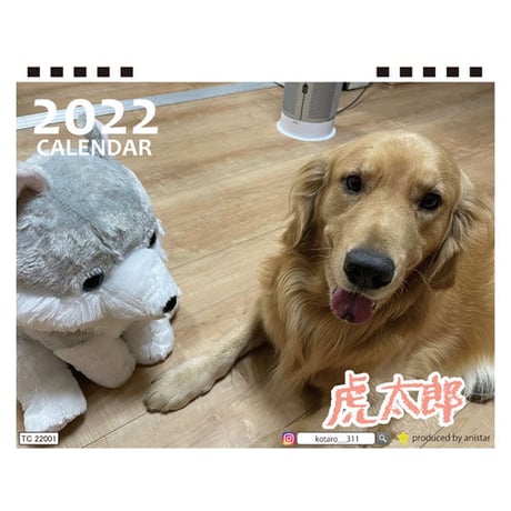 【予約販売】 ゴールデンレトリバー 虎太郎 2022年 卓上 カレンダー TC22053