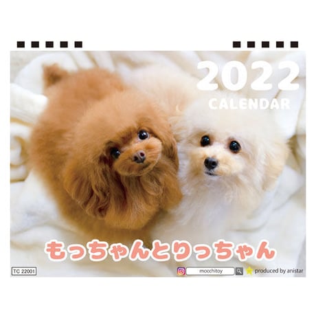 【予約販売】 トイプードル もっちゃんとりっちゃん 2022年 卓上 カレンダー TC22058