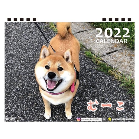【予約販売】 柴犬のむーこ 2022年 卓上 カレンダー TC22061