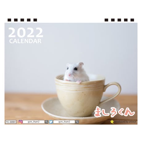 【予約販売】 ハムスター ましろくん 2022年 卓上 カレンダー TC22072
