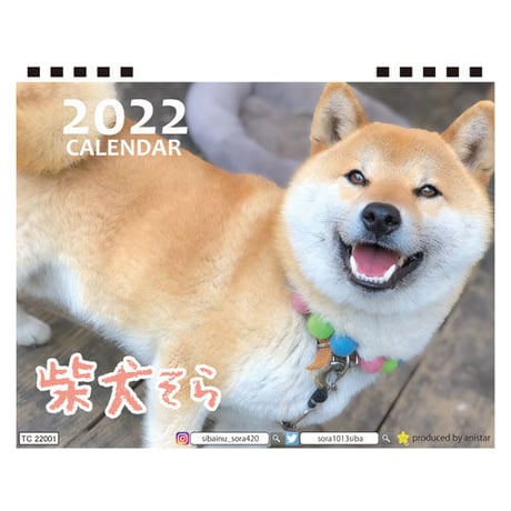 【予約販売】 柴犬 そら 2022年 卓上 カレンダー TC22083
