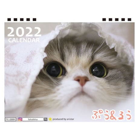 【予約販売】 猫のぷう＆るう 2022年 卓上 カレンダー TC22113