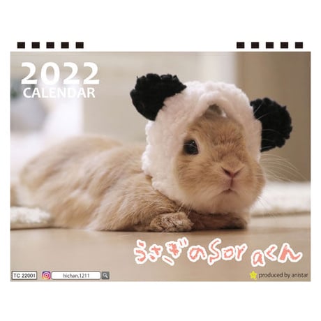【予約販売】 うさぎのSORAくん 2022年 卓上 カレンダー TC22050
