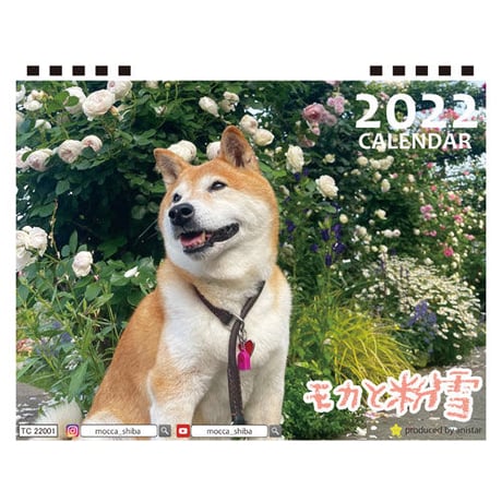 【予約販売】 柴犬 モカと粉雪 2022年 卓上 カレンダー TC22095