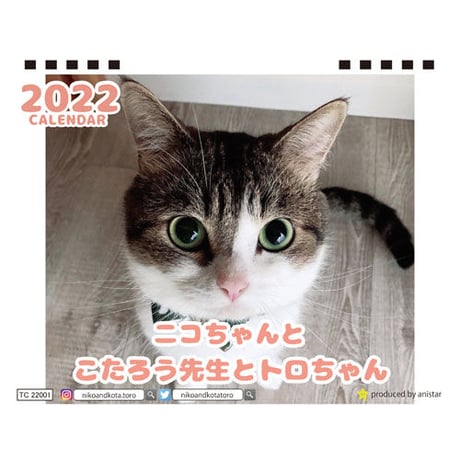【予約販売】 猫のニコちゃんとこたろう先生とトロちゃん 2022年 卓上 カレンダー TC22062