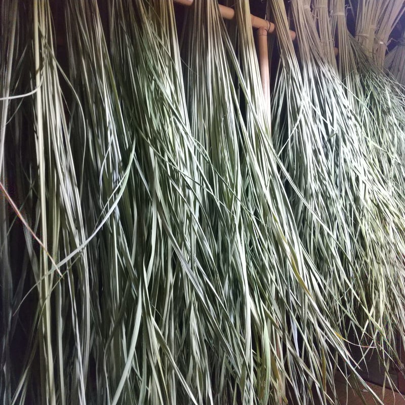 真菰 龍のしめ縄 | 大麻飾り ワイオリ