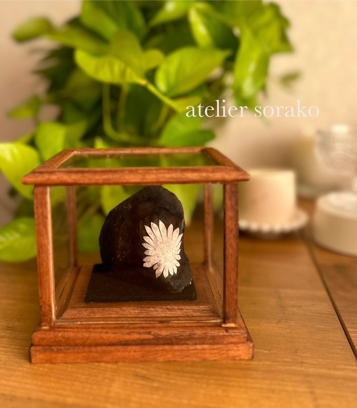 セール！天然石 クリサンセマムストーン ケース付き | atelier sorako