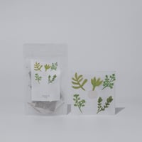 Comma Lab Awai ：ブレンドハーブティー２種