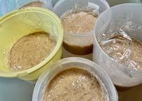 【限定】半年寝かせる中味噌作り【動画と材料のセット】