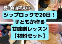 夏休みの自由研究に！子どもでもできる！ジップロック20日で完成。甘味噌オンライン教室【レッスン動画と材料セット】