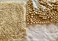 【限定】【麦こうじ】甘味噌作り材料のレシピセット販売（一度でも当味噌レッスンをご受講の方限定）