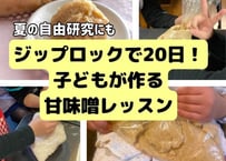 夏休みの自由研究に！子どもでもできる！ジップロック20日で完成。甘味噌オンライン教室【レッスン動画とレシピ】