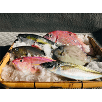 【代表佐保が厳選！】旬のお魚おためしセット