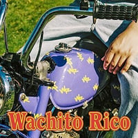 Boy Pablo / Wachito Rico (LP)