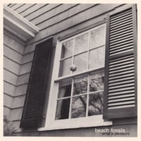 Beach Fossils / What a Pleasure (LP)