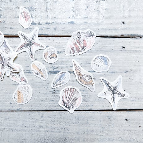 shell {flake seal}