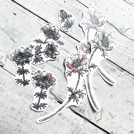 anemone  {flake seal}