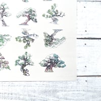 bonsai {illust paper}