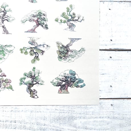 bonsai {illust paper}