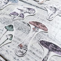 kinoko {flake seal}