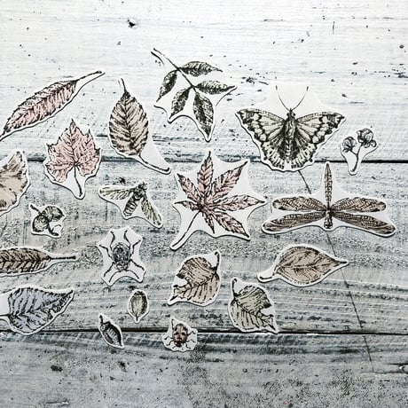 autumn leaf {flake seal}