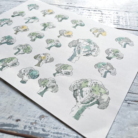 broccoli {illust paper}