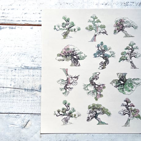 bonsai {illust paper}