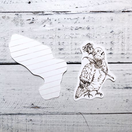 pigeon{message card}