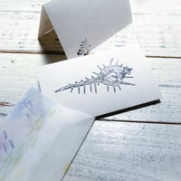 sea color {message card}