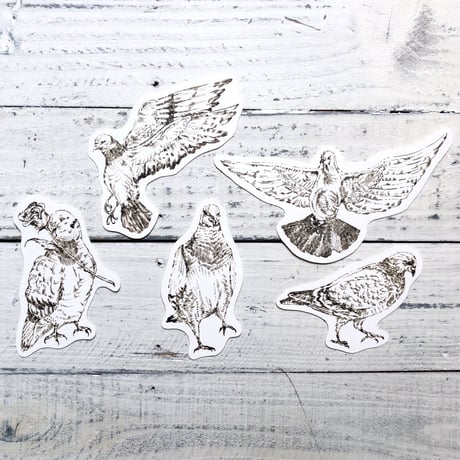 pigeon{message card}