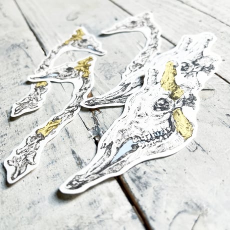 kirin no hone  {flake seal}