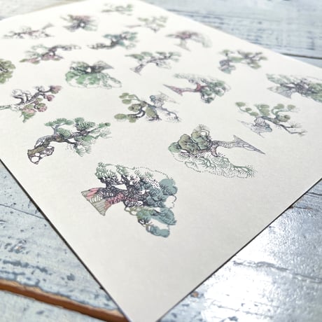 bonsai {illust paper}
