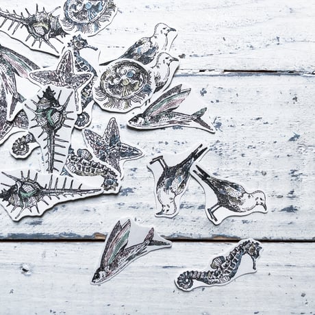 sea‘s creature {flake seal}