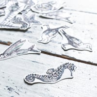 sea‘s creature {flake seal}