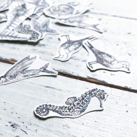 sea‘s creature {flake seal}