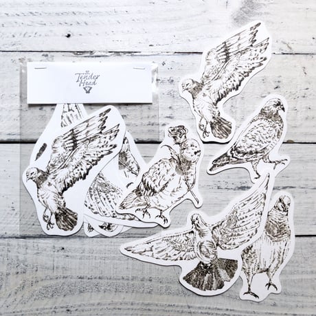 pigeon{message card}