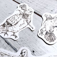 pigeon{message card}