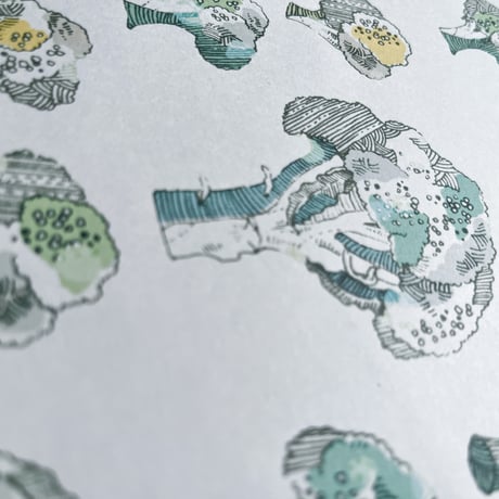 broccoli {illust paper}