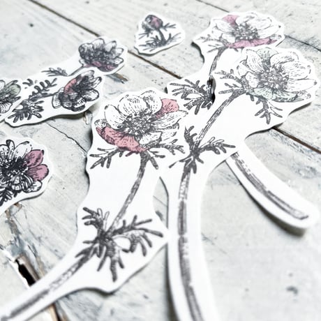 anemone  {flake seal}