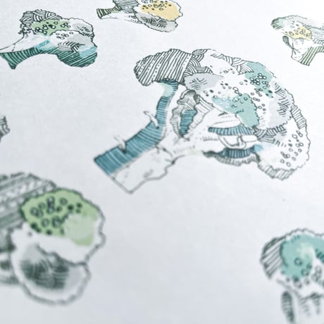 broccoli {illust paper}