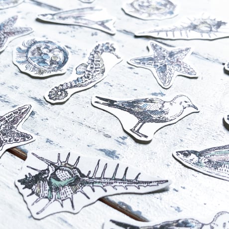sea‘s creature {flake seal}
