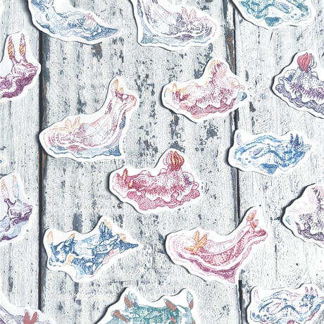 umi ushi {flake seal}
