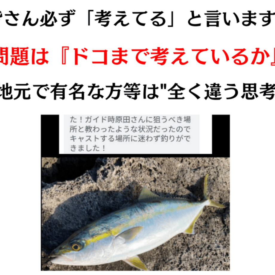 64c504c553ee8d13080e0fdf